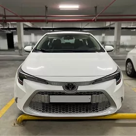 Toyota Corolla 2019