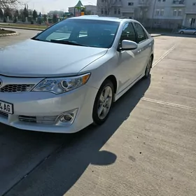 Toyota Camry 2013