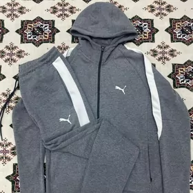 Puma spartiwka