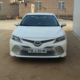 Toyota Camry 2019