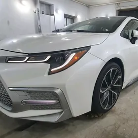 Toyota Corolla 2020