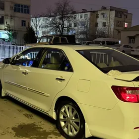 Toyota Aurion 2013