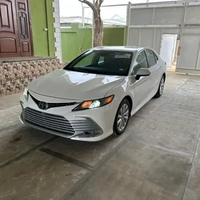 Toyota Camry 2019