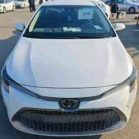 Toyota Corolla 2020