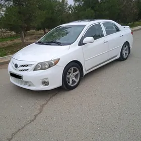 Toyota Corolla 2010