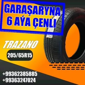 GARAŞARNA TEKER 205/65R15