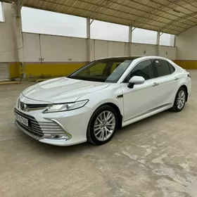 Toyota Camry 2024