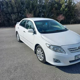 Toyota Corolla 2010