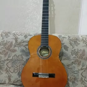 Gitara Valencia Vc104