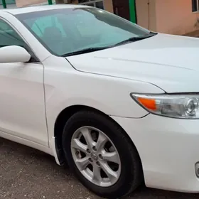 Toyota Camry 2010