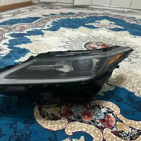 Rx fara 2021