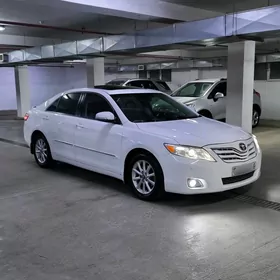 Toyota Camry 2010