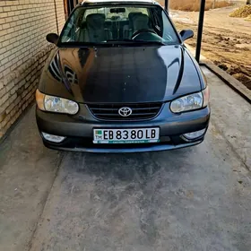 Toyota Corolla 2001