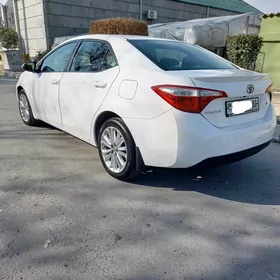 Toyota Corolla 2014