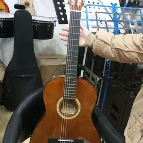 klassyk Gitara