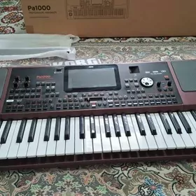 Korg pa1000