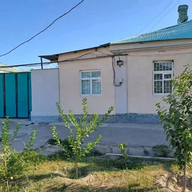 Hitrovka satlyk jaý