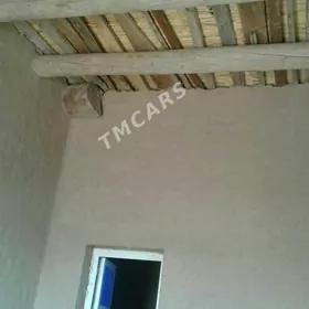 дайжай