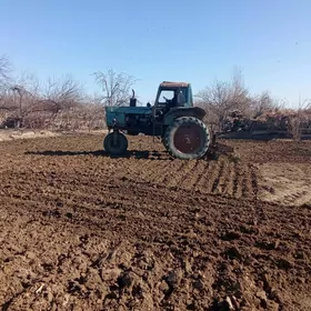 MTZ 80 1989