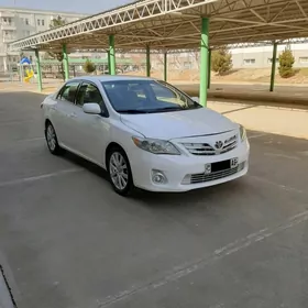 Toyota Corolla 2010