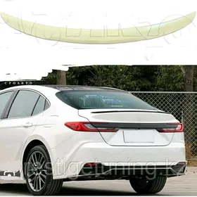 Camry 24-25ý. spoller-banan