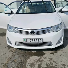 Toyota Camry 2013