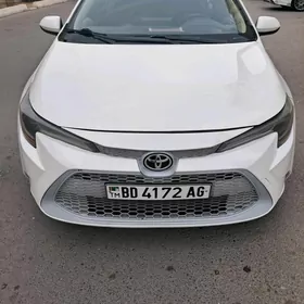 Toyota Corolla 2019