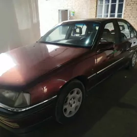 Opel Omega 1991