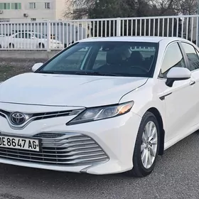 Toyota Camry 2019