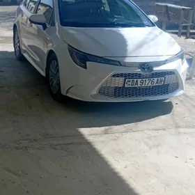 Toyota Corolla 2019