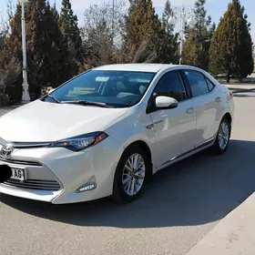 Toyota Corolla 2014