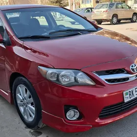 Toyota Corolla 2010