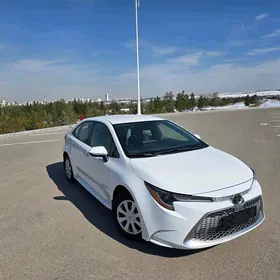 Toyota Corolla 2021