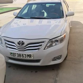 Toyota Camry 2010