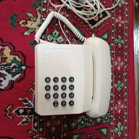 domashny telefon