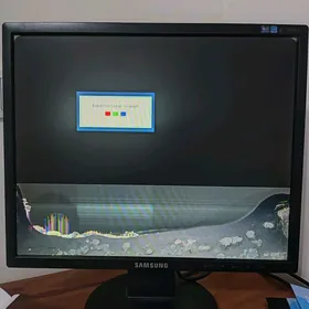 samsung monitor 19lyk