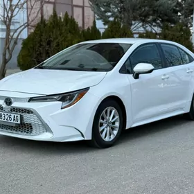 Toyota Corolla 2020