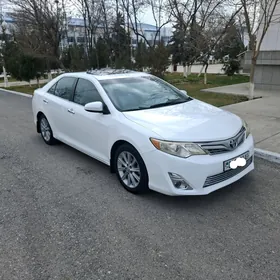 Toyota Camry 2013