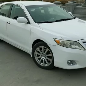 Toyota Camry 2010