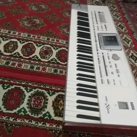 KORG PA2x pro