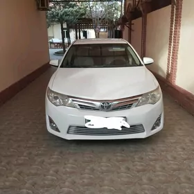 Toyota Camry 2013