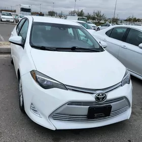 Toyota Corolla 2019