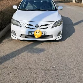 Toyota Corolla 2013