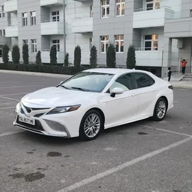 Toyota Camry 2021