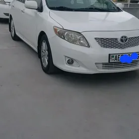 Toyota Corolla 2010