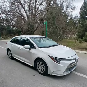 Toyota Corolla 2019