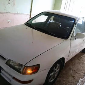 Toyota Corolla 1993