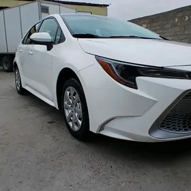 Toyota Corolla 2019