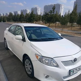 Toyota Corolla 2010