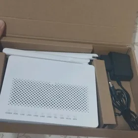 GPON router